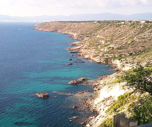 Transfer from Palma airport to Bahia_grande Mallorca