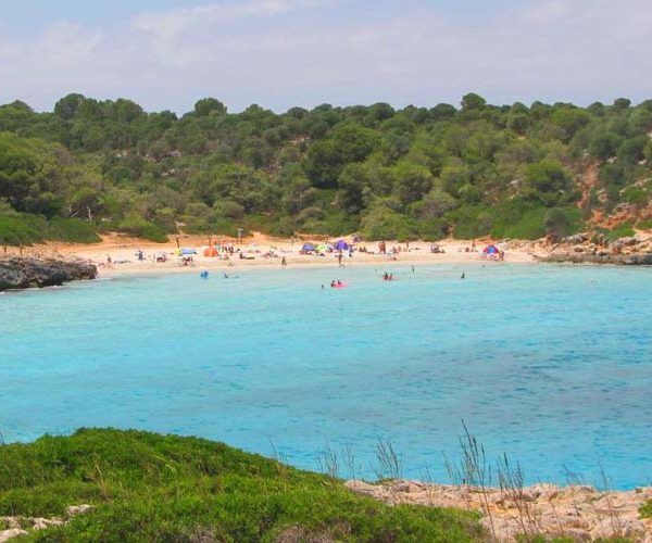 Transfer from Palma airport to Cala_barques Mallorca