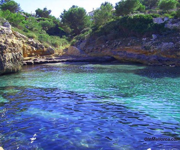 Transfer from Palma airport to Cala_blava Mallorca