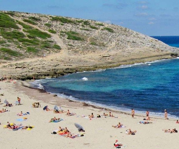 Transfer from Palma airport to Cala_mesquida Mallorca