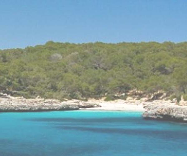 Transfer from Palma airport to Cala_mondrago Mallorca